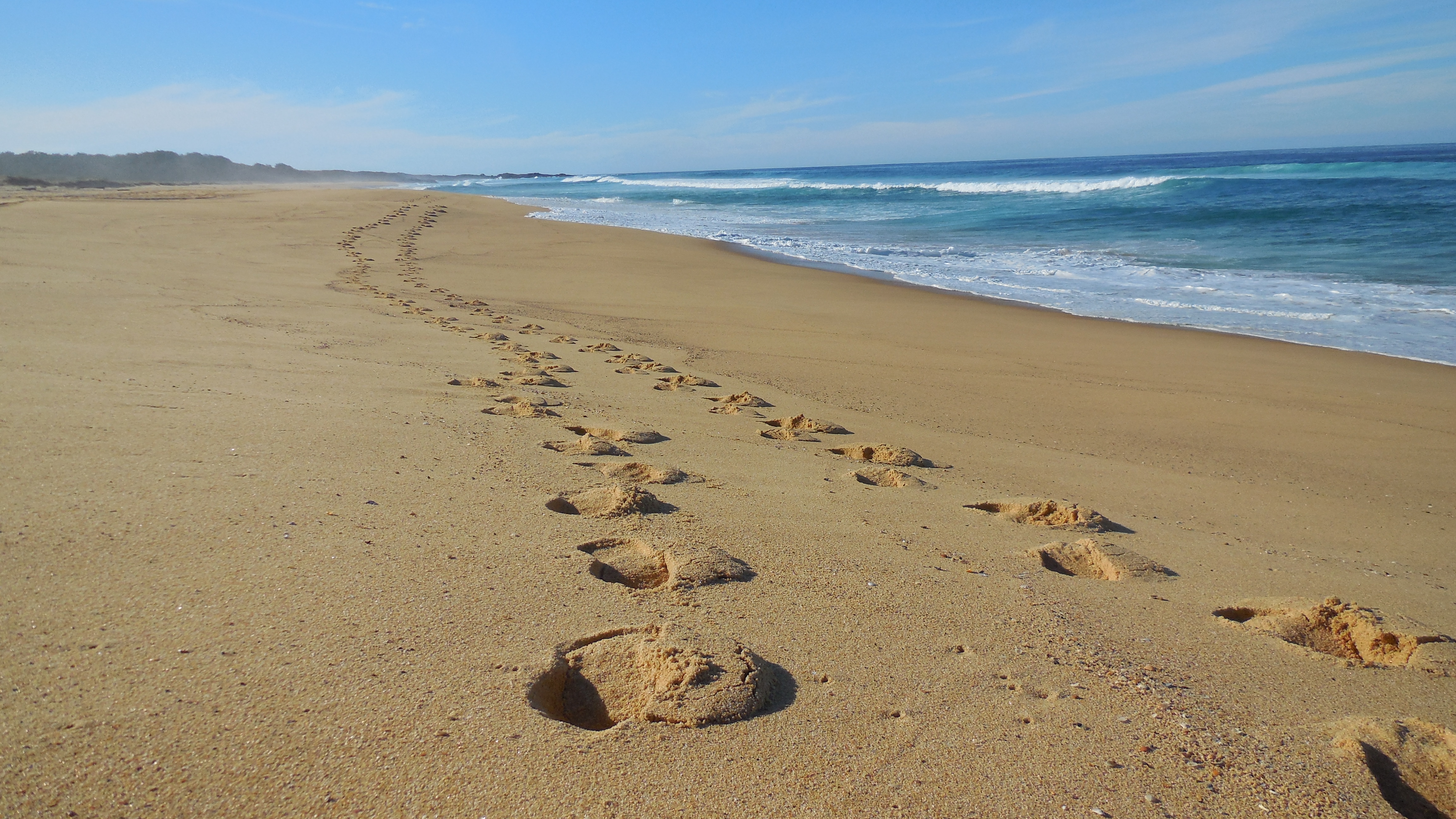 This image has an empty alt attribute; its file name is dscn2288.jpg